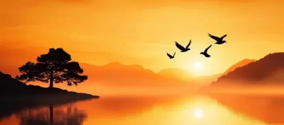ALBA SUL LAGO | Carta da parati paesaggio